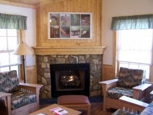 natural gas fireplace ottawa
