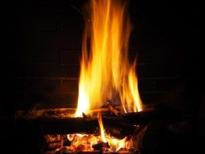 Wood burning fireplace in Ottawa